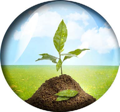 SurfaceScience's Greener Philosophy